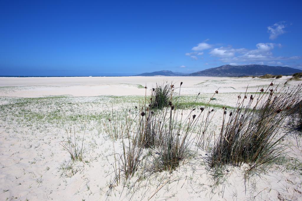 Blue Fin Tarifa Daire Dış mekan fotoğraf