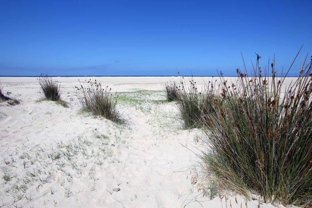 Blue Fin Tarifa Daire Dış mekan fotoğraf