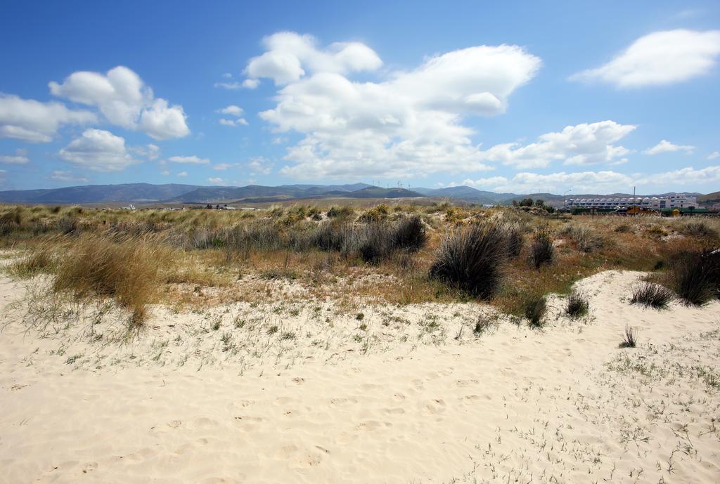 Blue Fin Tarifa Daire Dış mekan fotoğraf